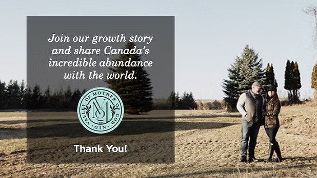 A series of bottles of gin representing the various levels of accessibility, from Accessible to Luxury. Valley of Mother of God positions itself as a luxury gin.